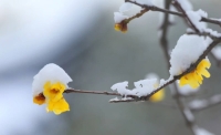 一起讀報-1月27日